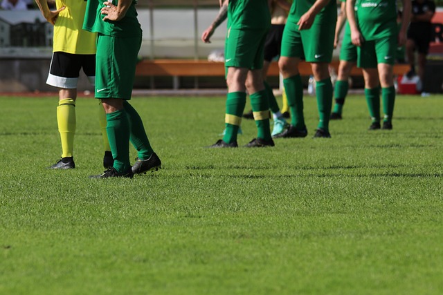 这些新援的 这些新援的