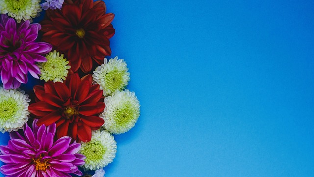 彩比赛及其 彩比赛及其