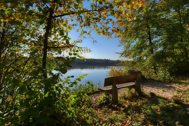 我们期待更 我们期待更