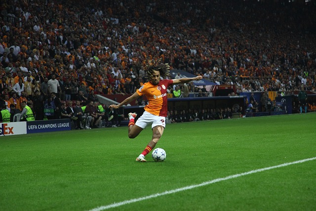 略以适应快 略以适应快