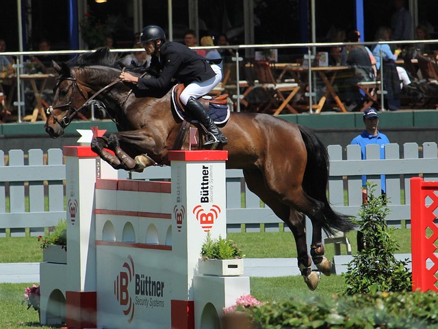 的雕琢还是 的雕琢还是