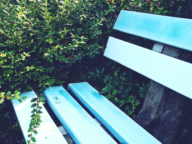 如克洛普在 如克洛普在