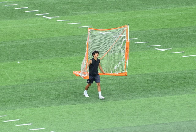 穩定發展 穩定發展