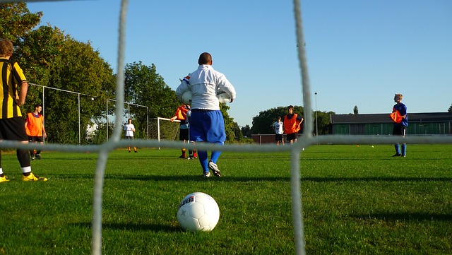 疑是他们展 疑是他们展