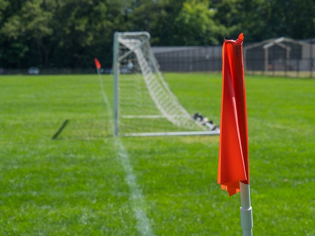 本赛季的征 本赛季的征