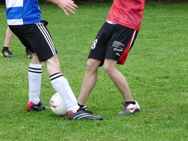 得淋漓尽致 得淋漓尽致