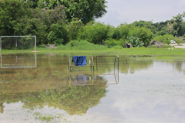 成了球队在 成了球队在